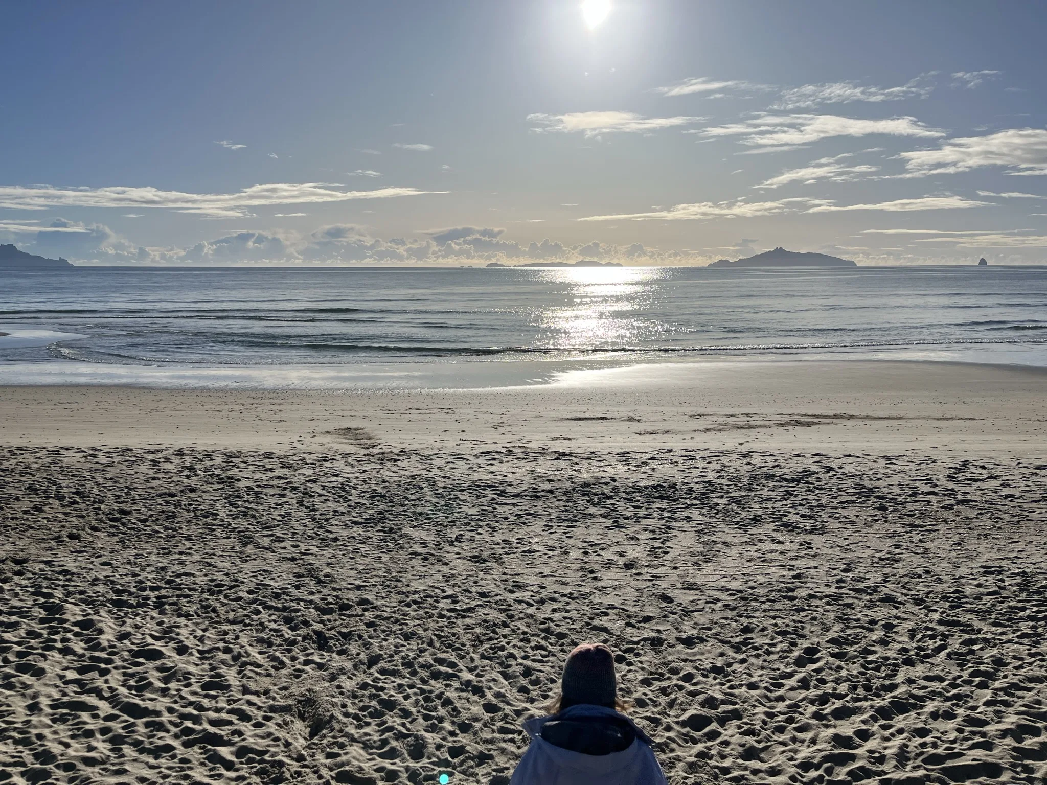 Discovering the Waipu Cycle & Walkway