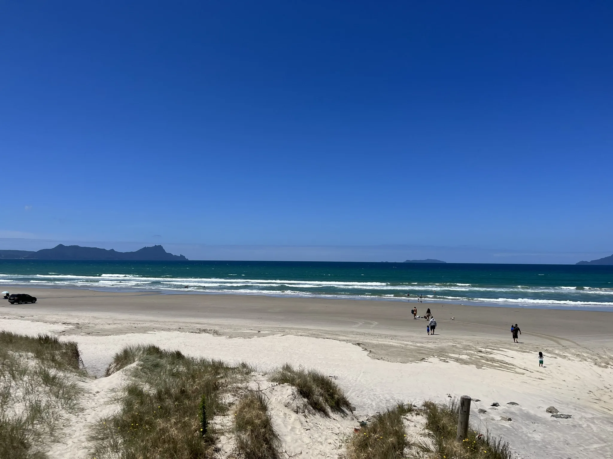 Introducing Bream Bay NZ: A directory built for how people search now